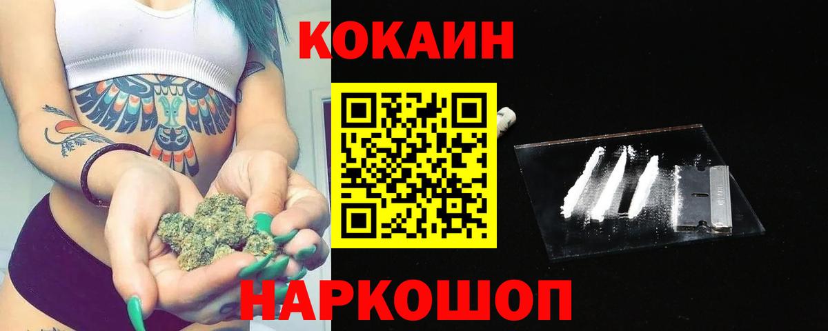 Кокаин Эквадор Камышин