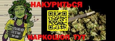 сатива Краснознаменск