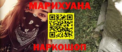 сатива Краснознаменск