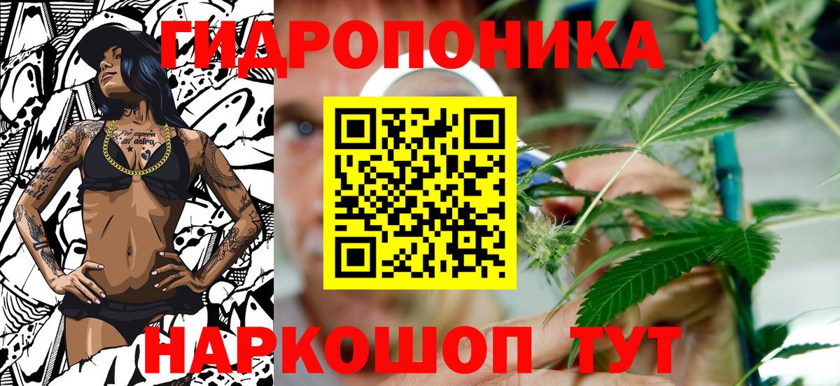 Шишки марихуана Bruce Banner Камышин